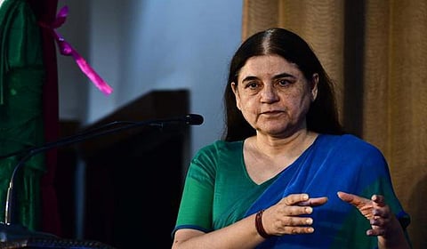 ஏழைகளை மட்டும் நாய் கடிப்பது ஏன்? - மேனகா காந்தி கடும் குற்றச்சாட்டு