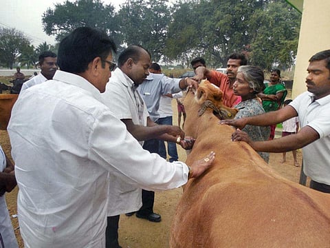 பிரதிநிதித்துவப் படம்.