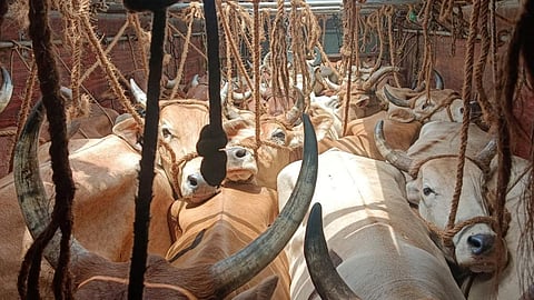 கோப்புப் படம்
