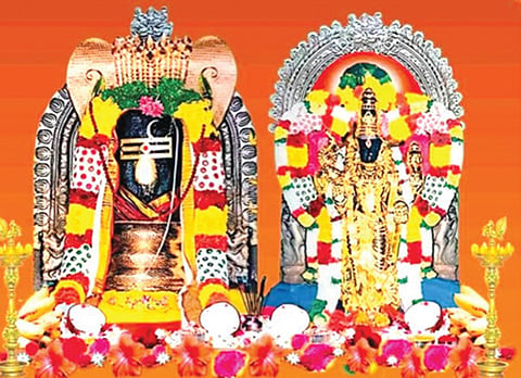 நவக்கிரக தோஷங்கள் நீக்கும் சேலம் சுகவனேஸ்வரர் | ஞாயிறு தரிசனம்