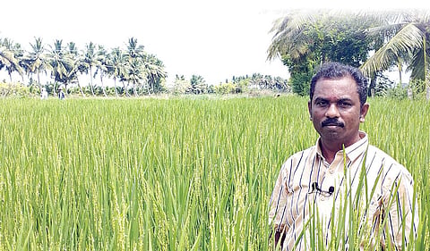 தன்னுடைய நெல் வயலில் பா.சுரேஷ்