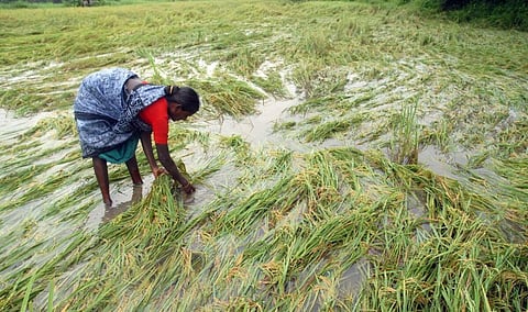கோப்புப் படம்