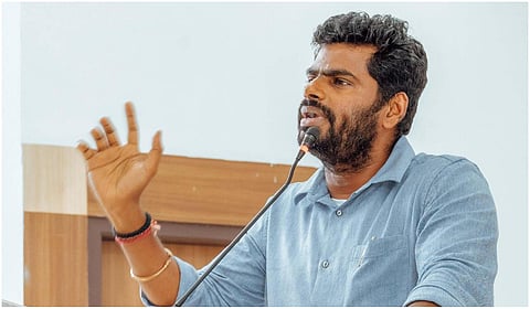 முதல்வர் ஸ்டாலினுக்கு பதிலடியாக அண்ணாமலை எழுப்பிய கேள்விகள்!
