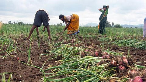 கோப்புப்படம்