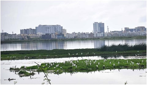 ‘பறிபோகும் பள்ளிக்கரணை சதுப்பு நிலம்... விதிகளை மீறிய அதிகாரிகள்!’ - பாஜக குற்றச்சாட்டு