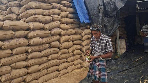 திமுக ஆட்சியில் ஆண்டுக்கு சராசரியாக 43 லட்சம் மெட்ரிக் டன் நெல் கொள்முதல்: அரசு பெருமிதம் 