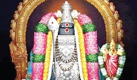விருத்தாசலத்தில் சுயம்பு முருகன்