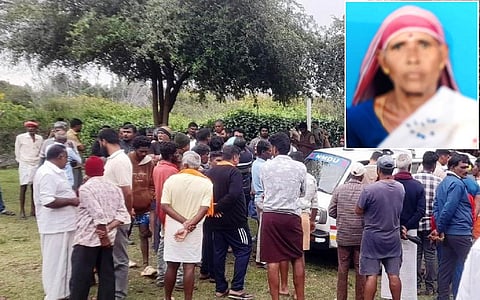 மசினகுடி அருகே புலி தாக்கி மூதாட்டி உயிரிழப்பு - வனத்துறையை கண்டித்து மக்கள் மறியல்