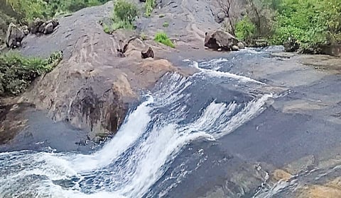 மலைப்பாதை ஓடைகளில் வெள்ளம்: சதுரகிரி மலையேற பக்தர்களுக்கு தடை