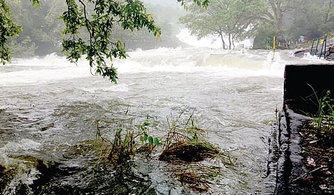 அகஸ்தியர் அருவியில் கரைபுரண்டு பாயும் வெள்ளம்.