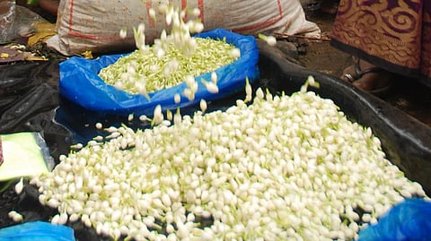 படம்: எஸ்.கிருஷ்ண மூர்த்தி