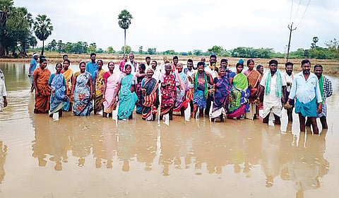 வடகரையில் மழைநீர் தேங்கியுள்ள நெல் வயலில் இறங்கி நேற்று போராட்டத்தில் ஈடுபட்ட விவசாயிகள்.