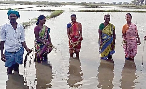 நாகை மாவட்டம் கீழப்​பி​டாகை​யில் வயலில் தண்​ணீர் தேங்​கிய​தால் அழுகிய நெற்​ப​யிர்​களு​டன் விவ​சாயிகள்.