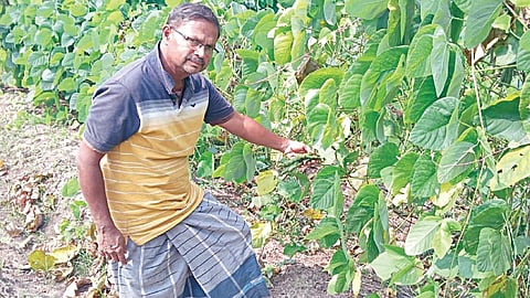 ரமேஷ் சுப்​பிரமணியன்
