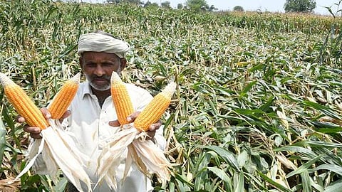 கோப்புப்படம்