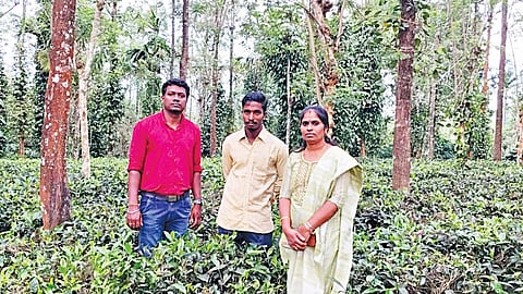 இயற்கை விவசாயத் தோட்டத்தில் பார்த்​த​சா​ரதி (நடுவில் இருப்பவர்). உடன் தோட்டக்கலைத்துறை துணை இயக்குநர் ஜெயலட்சுமி, ‘அட்மா' திட்ட ஒருங்கிணைப்பாளர் ஜெகதீஸ்வரன். 