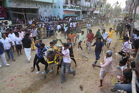 சேலம் மாவட்டத்தில் நடந்த எருதாட்டத்தில் 4 பேர் உயிரிழப்பு