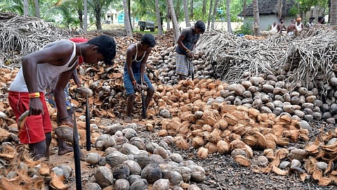 உற்பத்தியை ஊக்குவிக்கும் சிறப்புத் திட்டங்களுக்குப் பாராட்டு: சிறு, குறு தொழில்முனைவோர் கருத்து