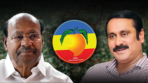 ​மாம்பழம் சின்னத்தை முடக்க கோரி மேல்​முறையீடு செய்யலாம்: ராமதாஸுக்கு உச்ச நீதிமன்றம் அறிவுறுத்தல் 