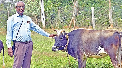 டாக்டர் ந.புண்​ணி​யமூர்த்​தி​.