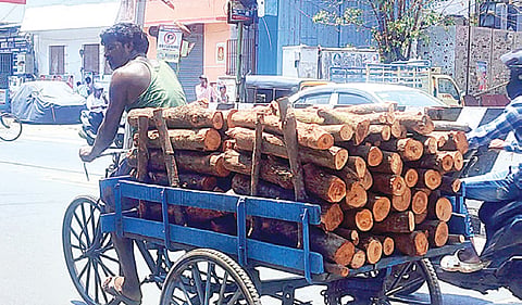சென்னை வால்​டாக்ஸ் சாலை​யில் ஓட்​டல் பயன்​பாட்​டுக்​காக 3 சக்கர சைக்​கிளில் கொண்டு செல்​லப்​படும் விறகு. | படம்: ச.கார்​த்​திகேயன் |