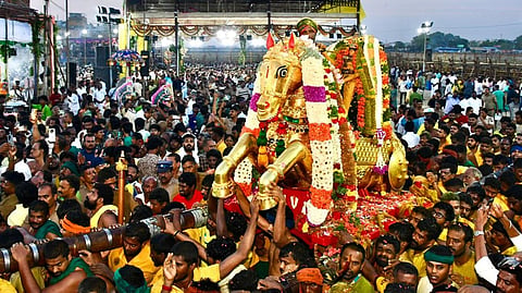 படங்கள்: எஸ்.கிருஷ்ணமூர்த்தி, நா.தங்கரத்தினம்