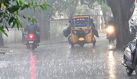 சென்னை கீழ்ப்பாக்கம் பகுதியில் நேற்று பலத்த காற்றுடன் மழை பெய்தது. | படம்: ம.பிரபு |