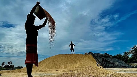 மழைப்பொழிவு அச்சத்தில் விவசாயிகள்: நெல் கொள்முதலை விரைவுபடுத்த வலியுறுத்தல்