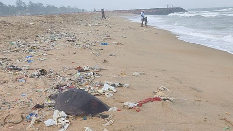 எண்ணூர் முதல் கோவளம் வரை கடற்கரை ஓரங்களில் சேகரமாகியுள்ள குப்பை கழிவுகளை ஜூன் 14-க்குள் அகற்ற உத்தரவு