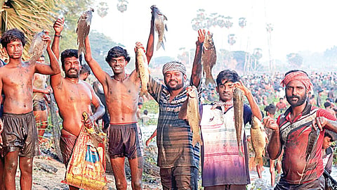 அழகர்கோவில் அருகே கள்ளந்திரி கண்மாயில் மீன்பிடி திருவிழா