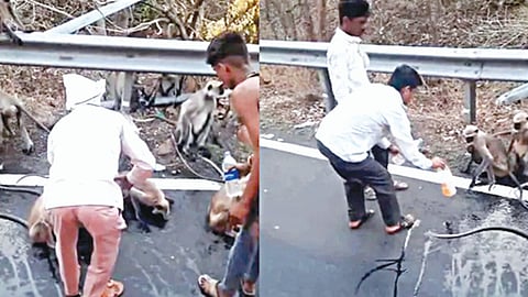 தண்ணீர் தாகத்தால் பேருந்தை வழிமறித்த குரங்கு: மனதை உருக்கும் வீடியோ வைரல்