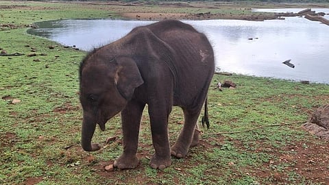 கோப்புப் படம்