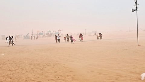 படம்: எல்.சீனிவாசன்