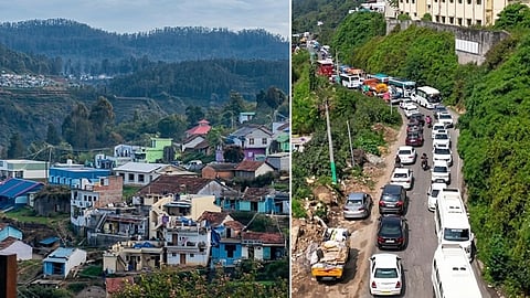 கொடைக்கானல் சுற்றுலாத் தலங்களை மே 31 வரை இலவசமாக பார்வையிடலாம்: திண்டுக்கல் ஆட்சியர் அறிவிப்பு