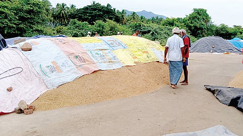 மதுரை அருகே நேரடி கொள்முதல் நிலையத்தில் வைக்கப்பட்டுள்ள நெல் குவியல்.