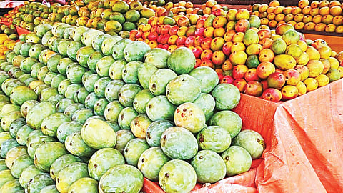 கிருஷ்ணகிரி மாவட்டத்தில் விளைவிக்கப்படும் மாம்பழ ரகங்கள். (கோப்பு படம்)