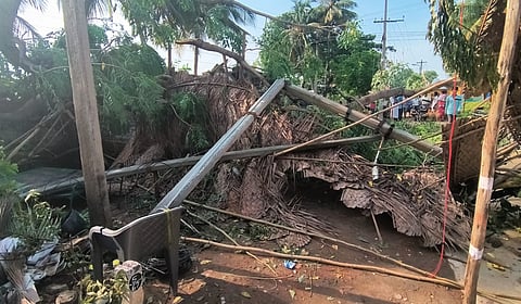மேட்டூரில் சூறாவளிக் காற்றுடன் மழை: மின்கம்பங்கள், மரங்கள் விழுந்து 3 வீடுகள் சேதம்