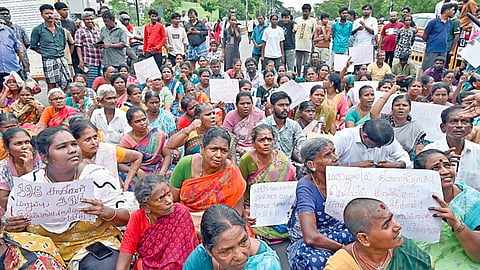 படம்: எல்.சீனிவாசன்