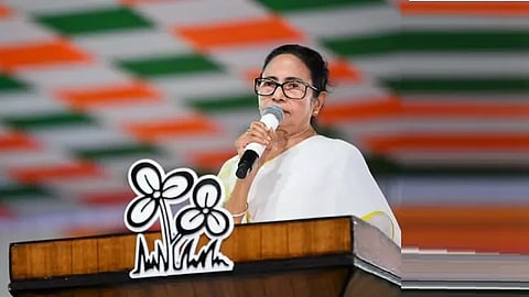 டிஎம்சி தேர்தல் சின்னம் சர்ச்சை: வடிவமைப்பை திருடியதாக பிரபல ஓவியக் கலைஞர் புகார்