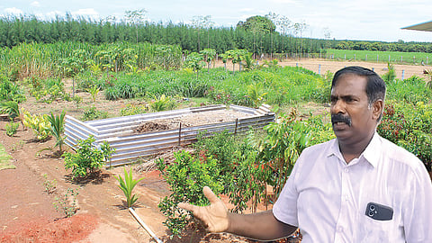 உள்படம்: முருகன்