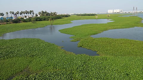 கொரட்டூர் ஏரி