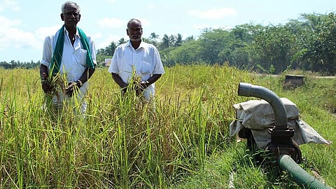 தொடர் மின்வெட்டால் விவசாயம் பாதிப்பு: அரசு உடனடி நடவடிக்கை எடுக்க தேமுதிக வலியுறுத்தல்