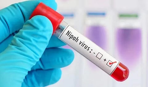 கேரளாவில் ஒருவருக்கு நிபா வைரஸ் பாதிப்பு
