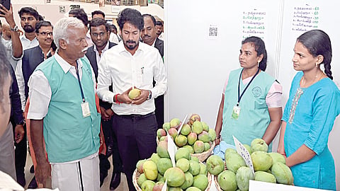 சென்னையில் தொடங்கிய மாம்பழ திருவிழா: பல்வேறு மாநிலங்களின் 25-க்கும் மேற்பட்ட வகைகள் விற்பனை