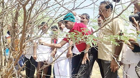 ஆண்டிபட்டி எஸ்எஸ்.புரத்தில் சீமைக்கருவேல மரங்களை அகற்றும் பணியில் ஈடுபட்ட வைகோ.