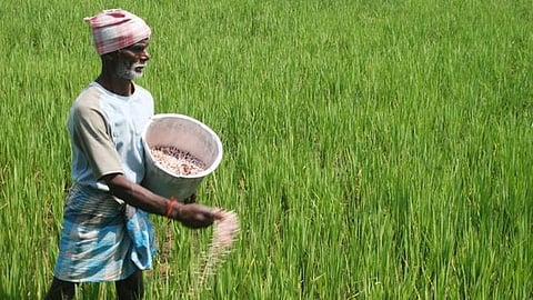 கடன் தள்ளுபடியால் விவசாயிகளுக்கு நன்மையா?