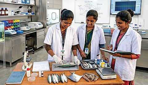 மீன்வளத் துறையில் கொட்டிக் கிடக்கும் வேலைவாய்ப்பு