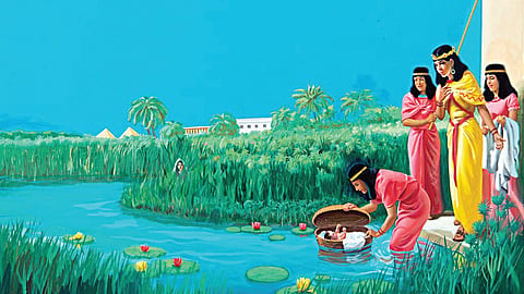 மாபெரும் விடுதலைப் பயணம்