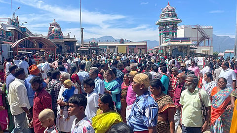 பழநி மலைக்கோயில் வருமானம் ரூ.100 கோடியை கடந்து வரலாற்று சாதனை