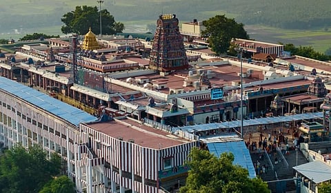 பழநி முருகன் கோயில்